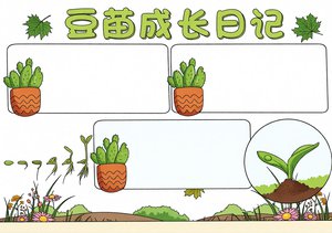 豆苗成长日记手抄报简单又漂亮 植物生长观察记录 科学小报模板